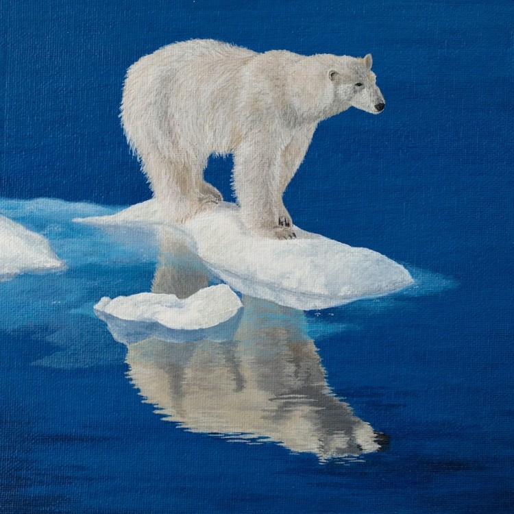 Polar bear