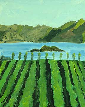 Vinyard in New Zealand