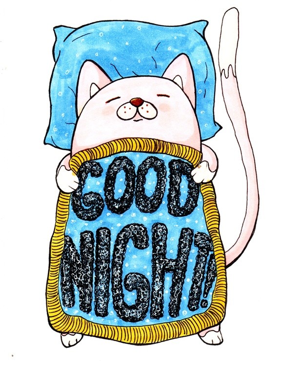 Sleeping cat