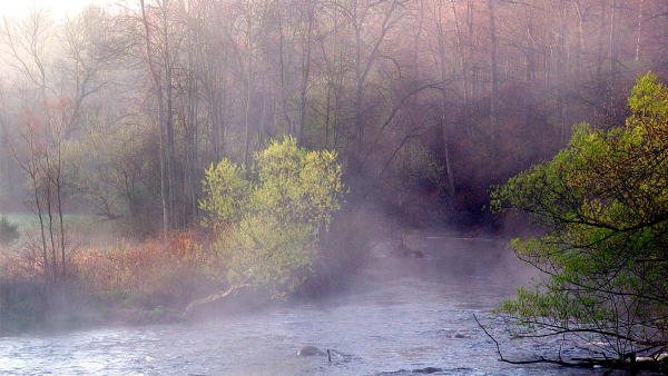 River Mist