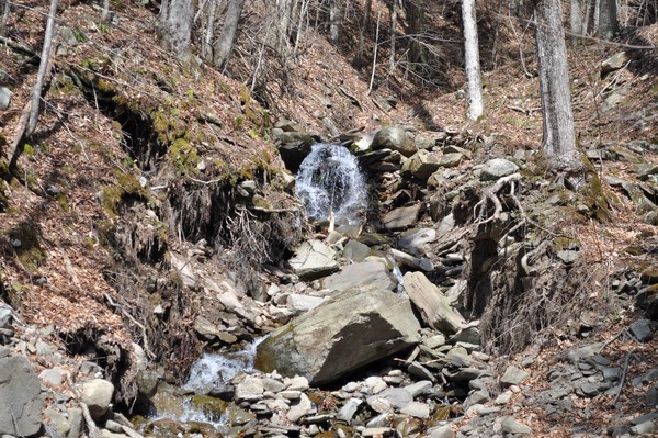 water scape