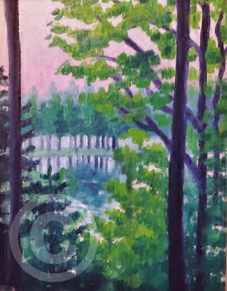 View from the back of the cabin