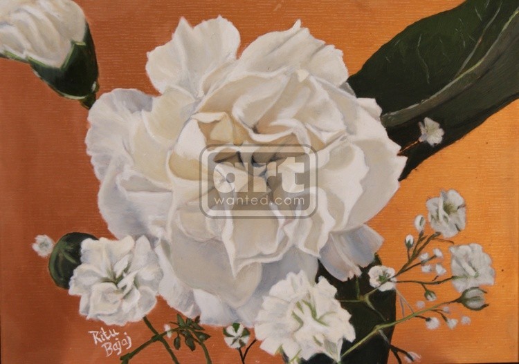 Carnations