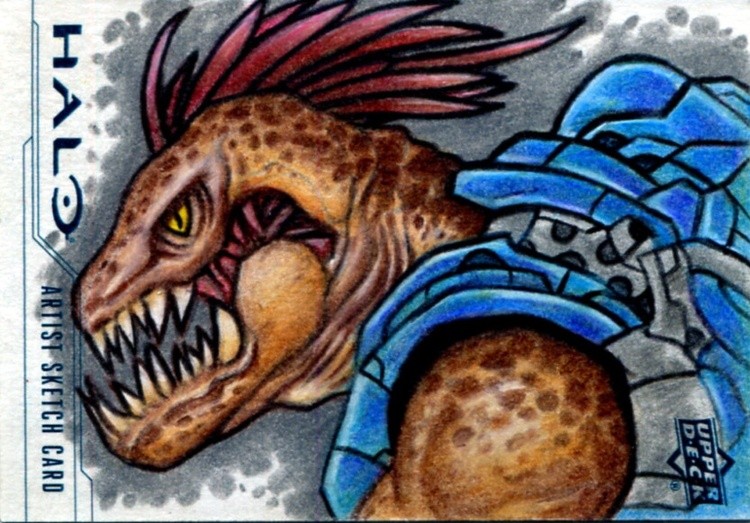 STORM JACKAL