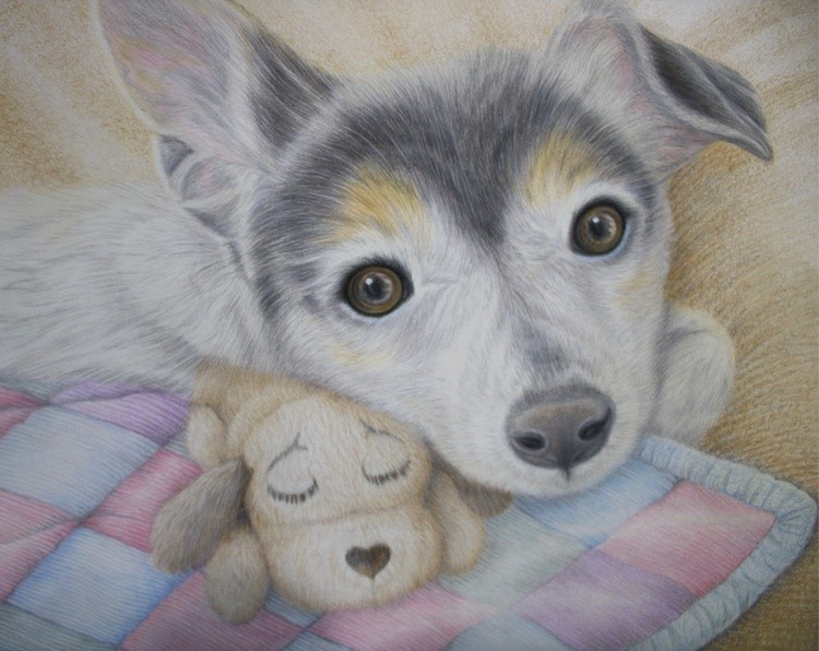 Terrier Nuzzles Favorite Toy
