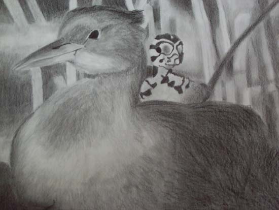 a duck and her baby