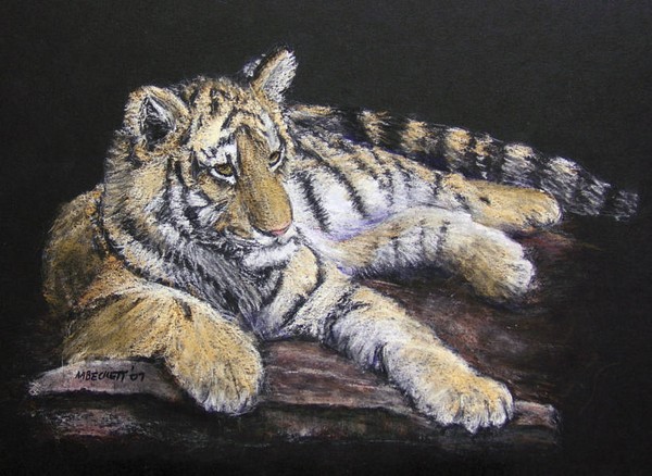 Tiger Tiger... Burning Bright