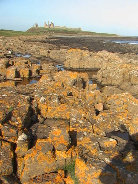 274. Dunstanburgh Castle