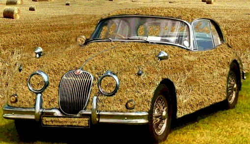 Economy Car-Runs on Hay
