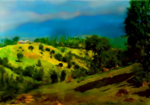 Country Forest