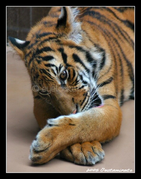 Mom Said to Wash Before Dinner