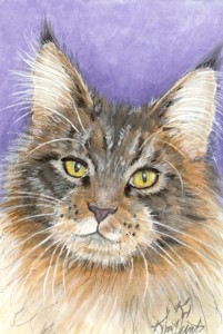 Mainecoone Cat