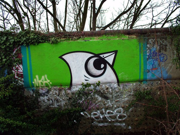 crow.