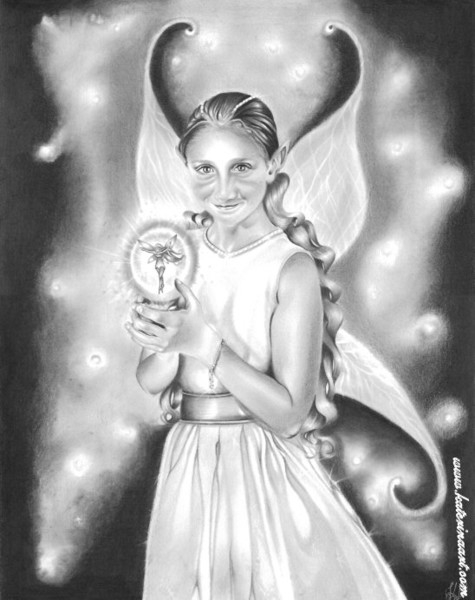 Fairycatcher