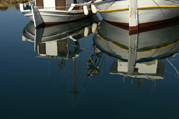 reflex