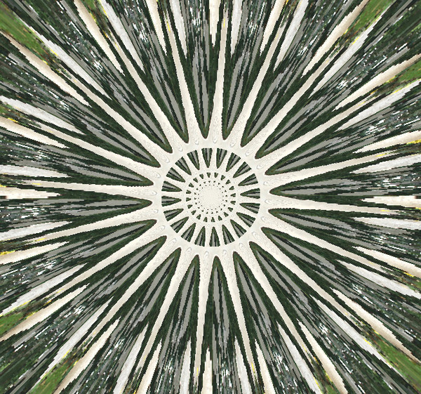 Experimental #1