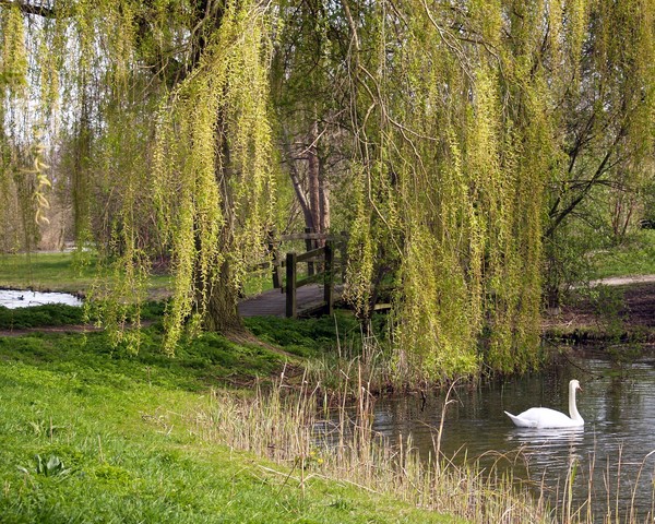 Easter Sunday in Lelystad Netherlands