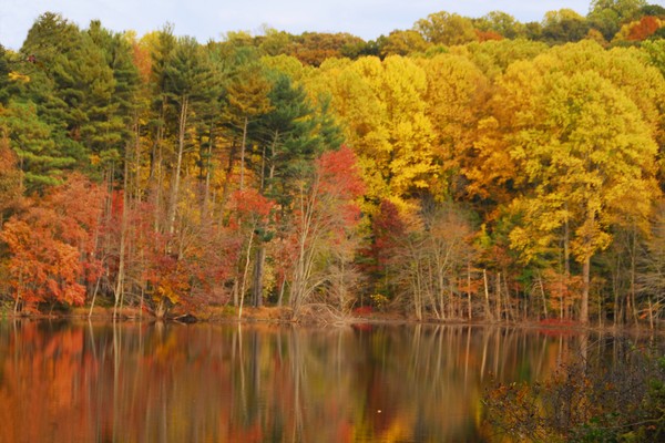 Fall at Hoopes Reservoir