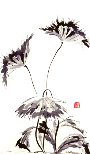 Keith's Poppies