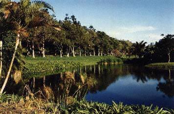 Tongaat Park