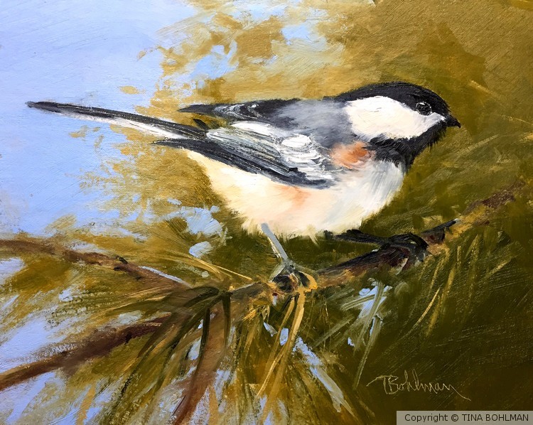 Chickadee