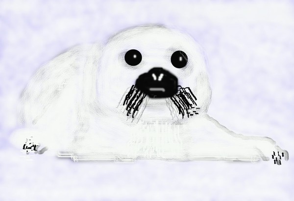 Seal Pup O640