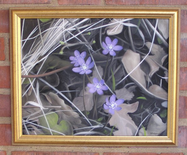 Hepatica