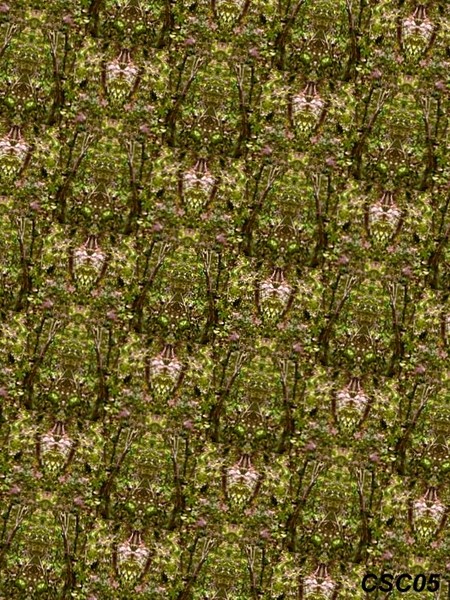 Moss
