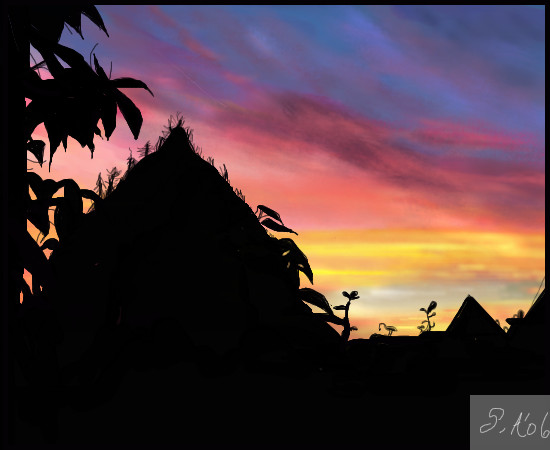 sunset-silhouette