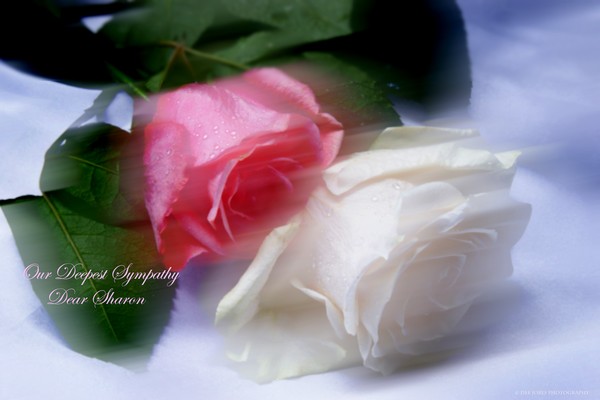Our Deepest Sympathy Sharon