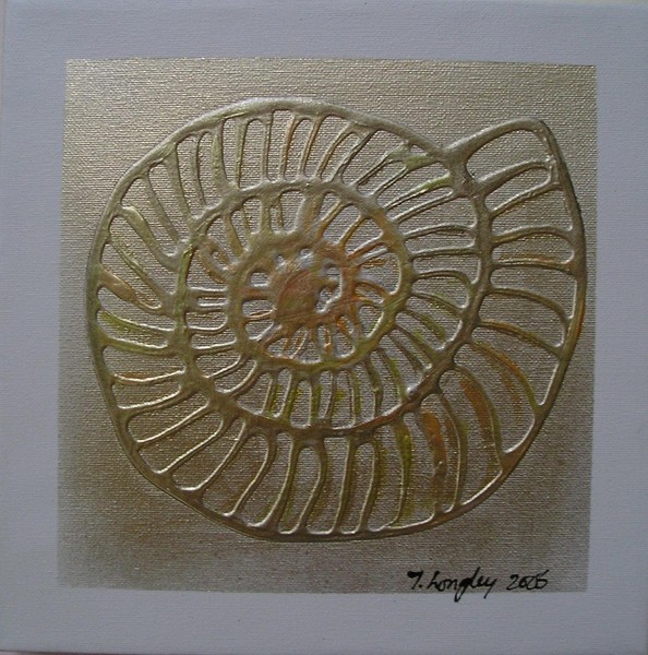 'Ammonite'