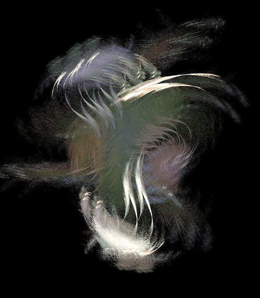 feathers