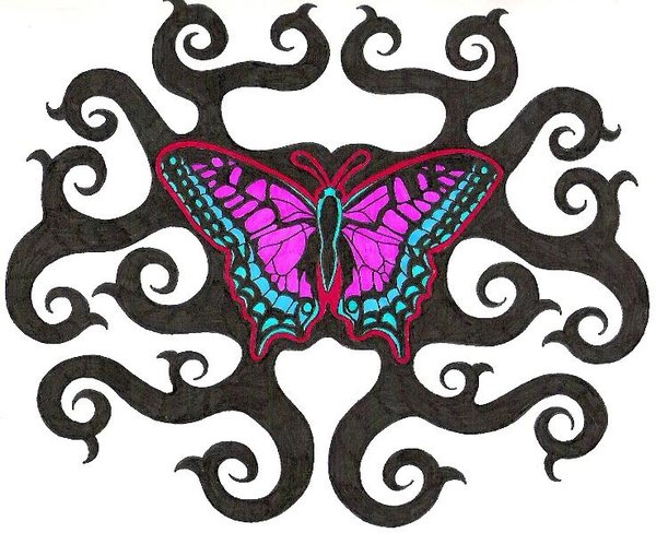 Vine Butterfly