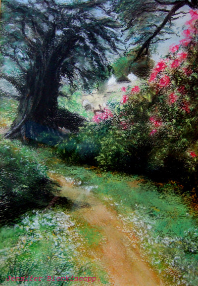 old oak tree