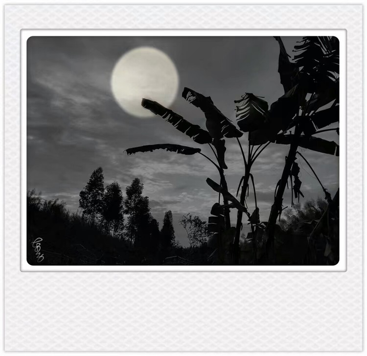 Tropic Moon