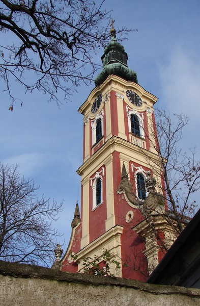 Looking upwards