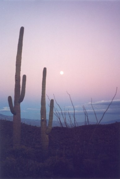 Twilight