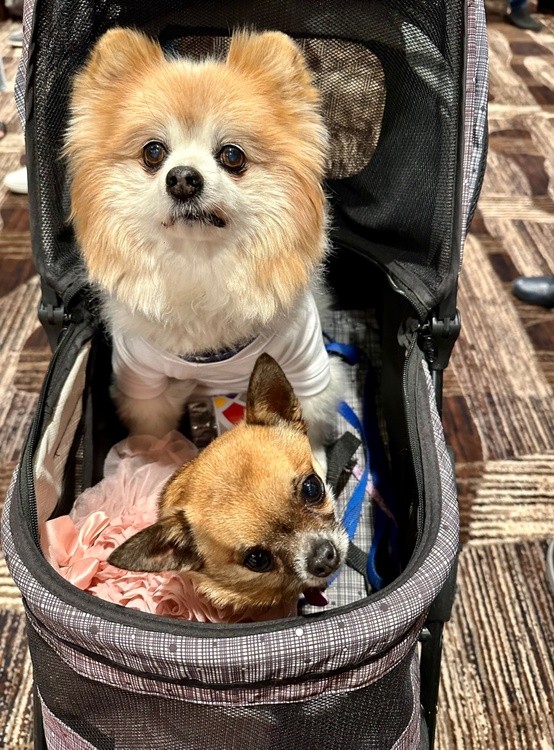 Elvis and Friend