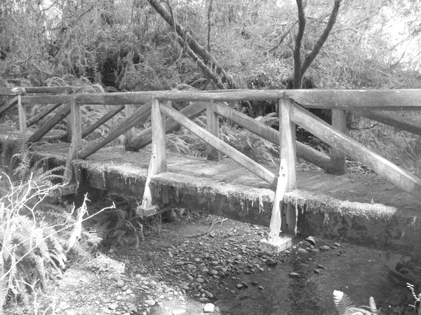 Bridge to Nowhere