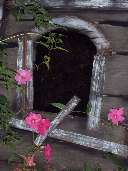 Secret Window
