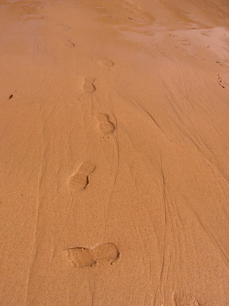 Footprints in the sand