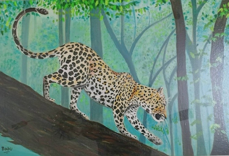 Cheetah