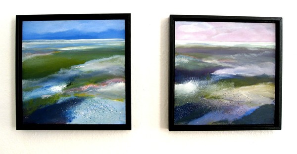 Salt marshes and mud flats
