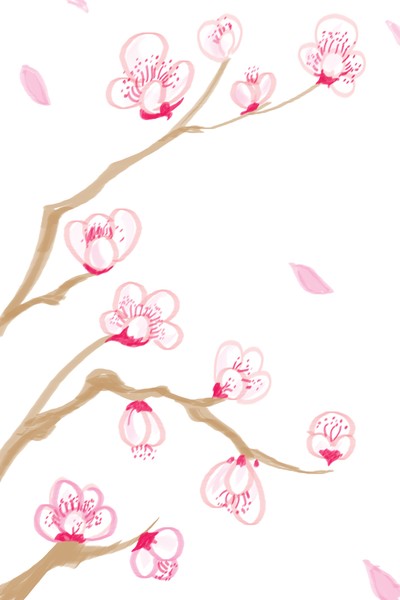 The Plum