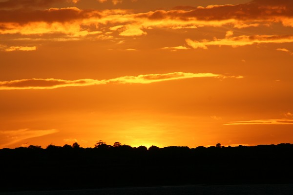 Sunet Ireland