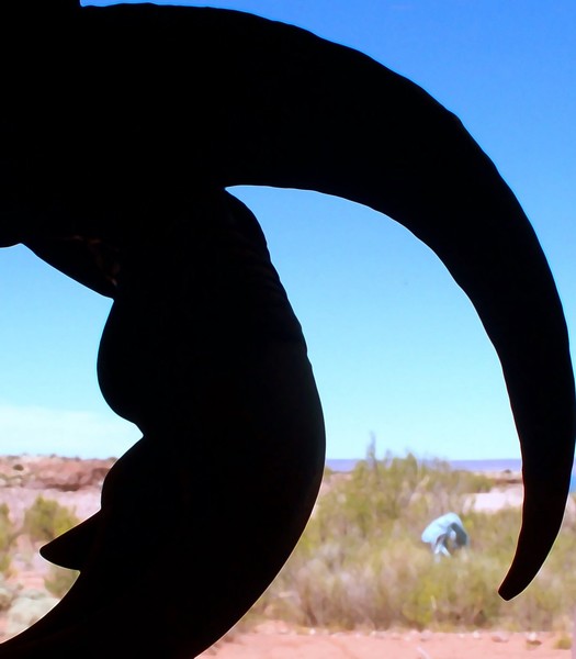 So patagonian dino friends