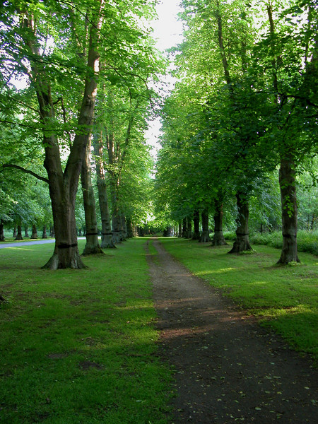 Clumber Park