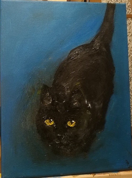 Tabatha /little cat