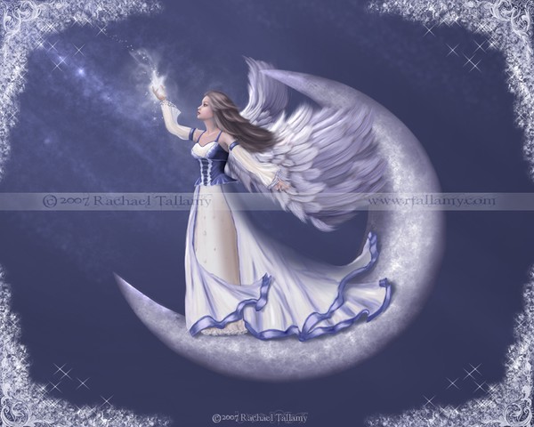 Catch a Falling Star