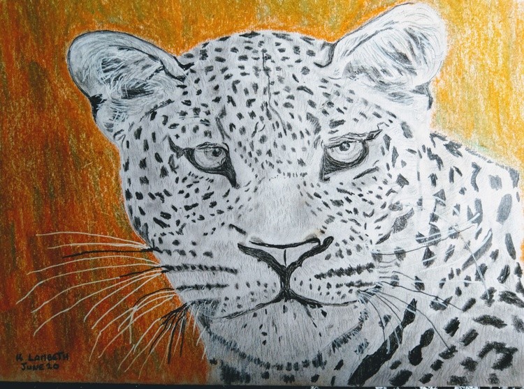 Can a Leopard change his spots?